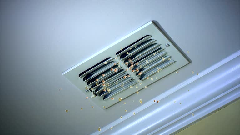 Best Air Duct Cleaning Near Me  in Wlowbrook, IL