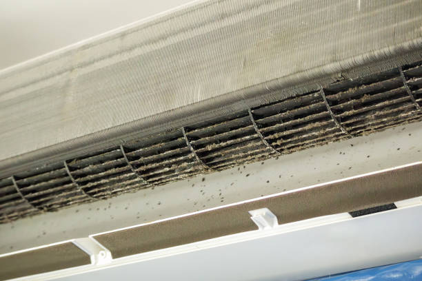 Best Affordable Air Duct Cleaning  in Wlowbrook, IL